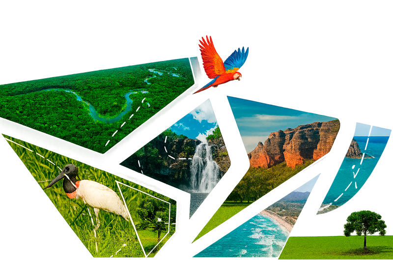 Passaporte Mountain Do 2026